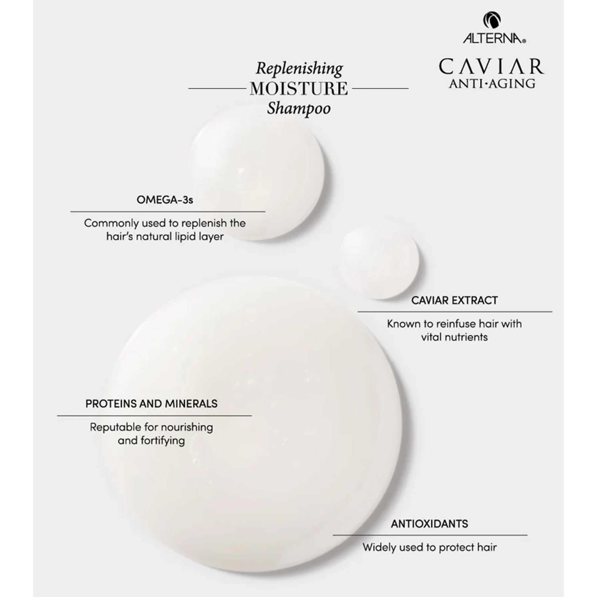 Mini Densifying Shampoo