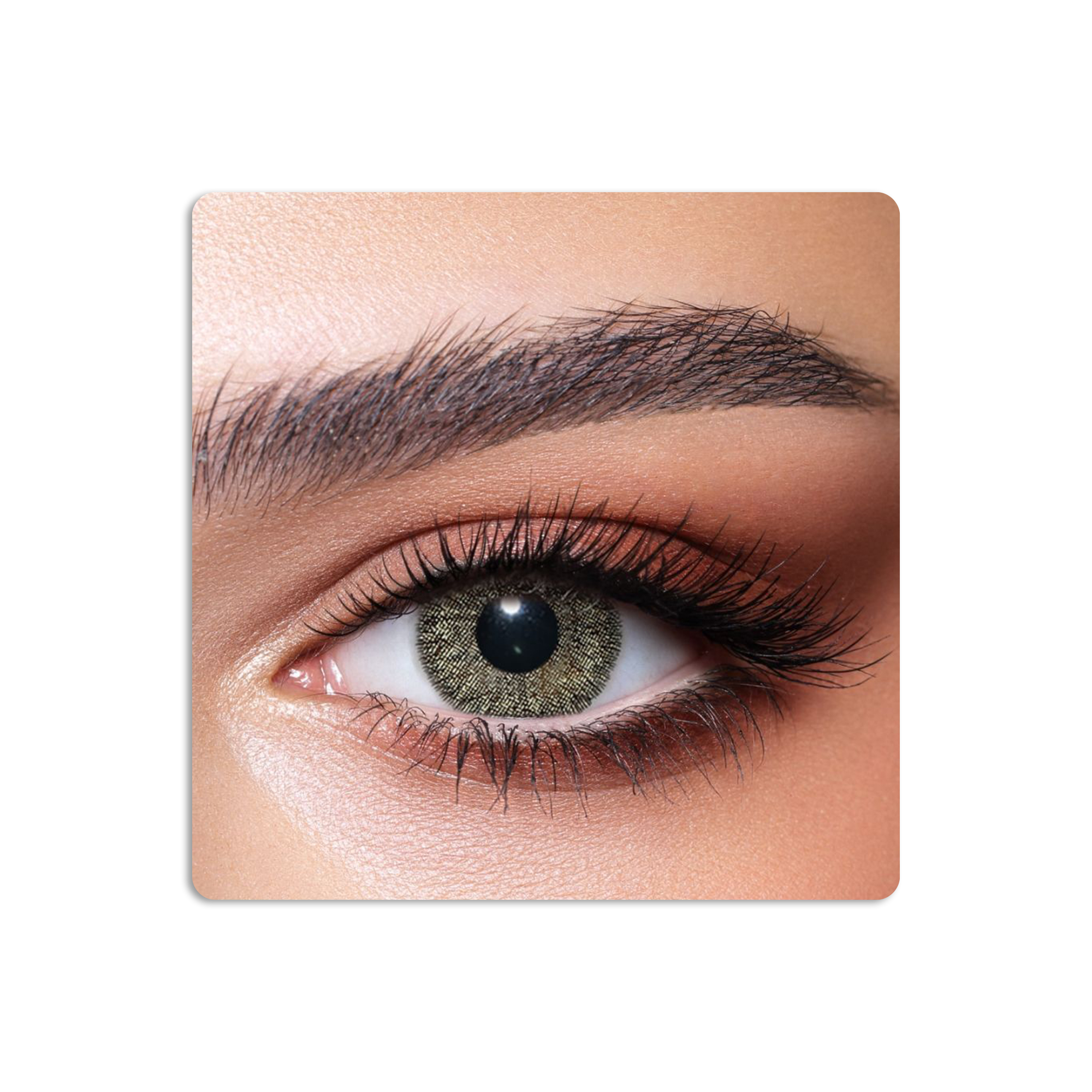 عدسات لاصقة كونتور ملونة