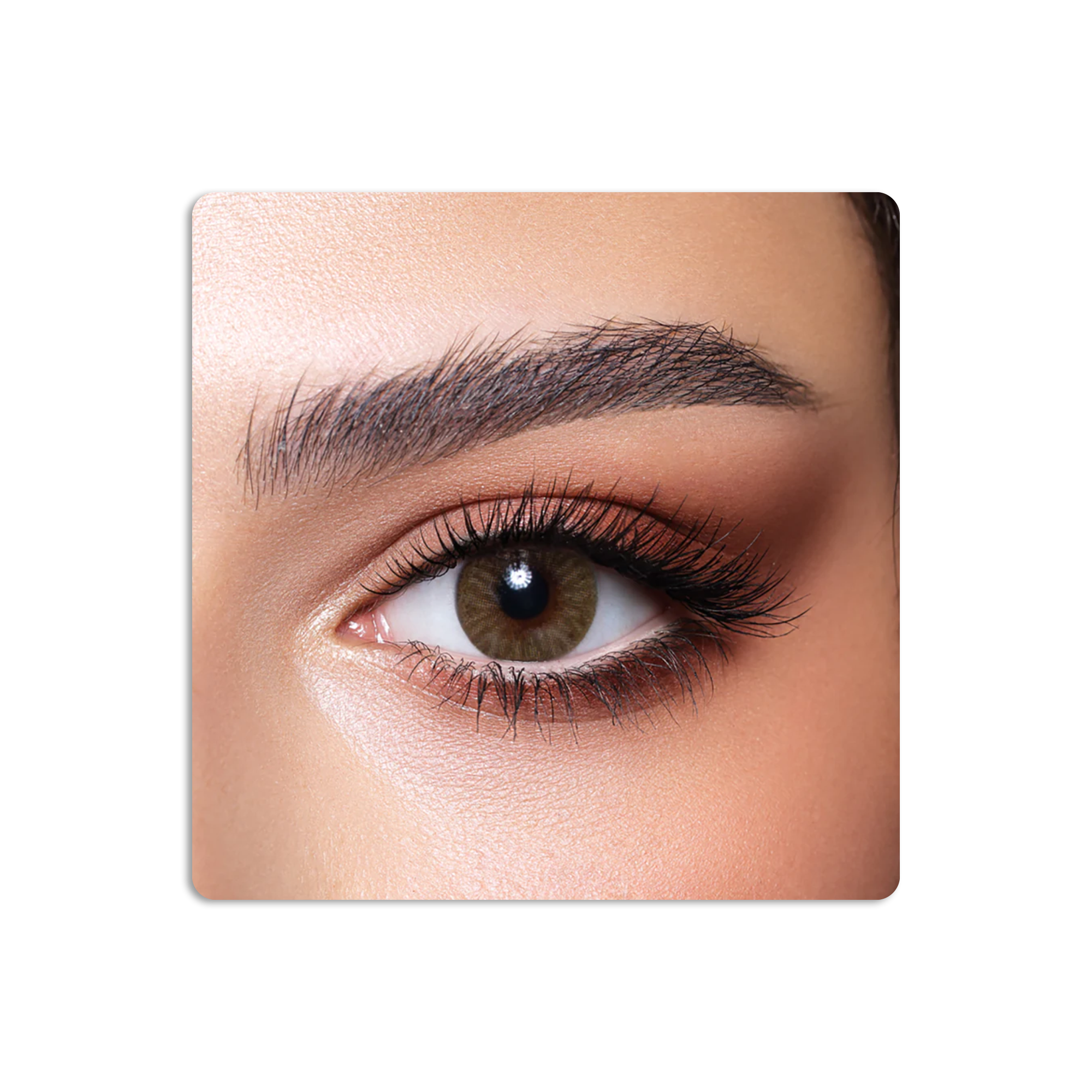 عدسات لاصقة كونتور ملونة