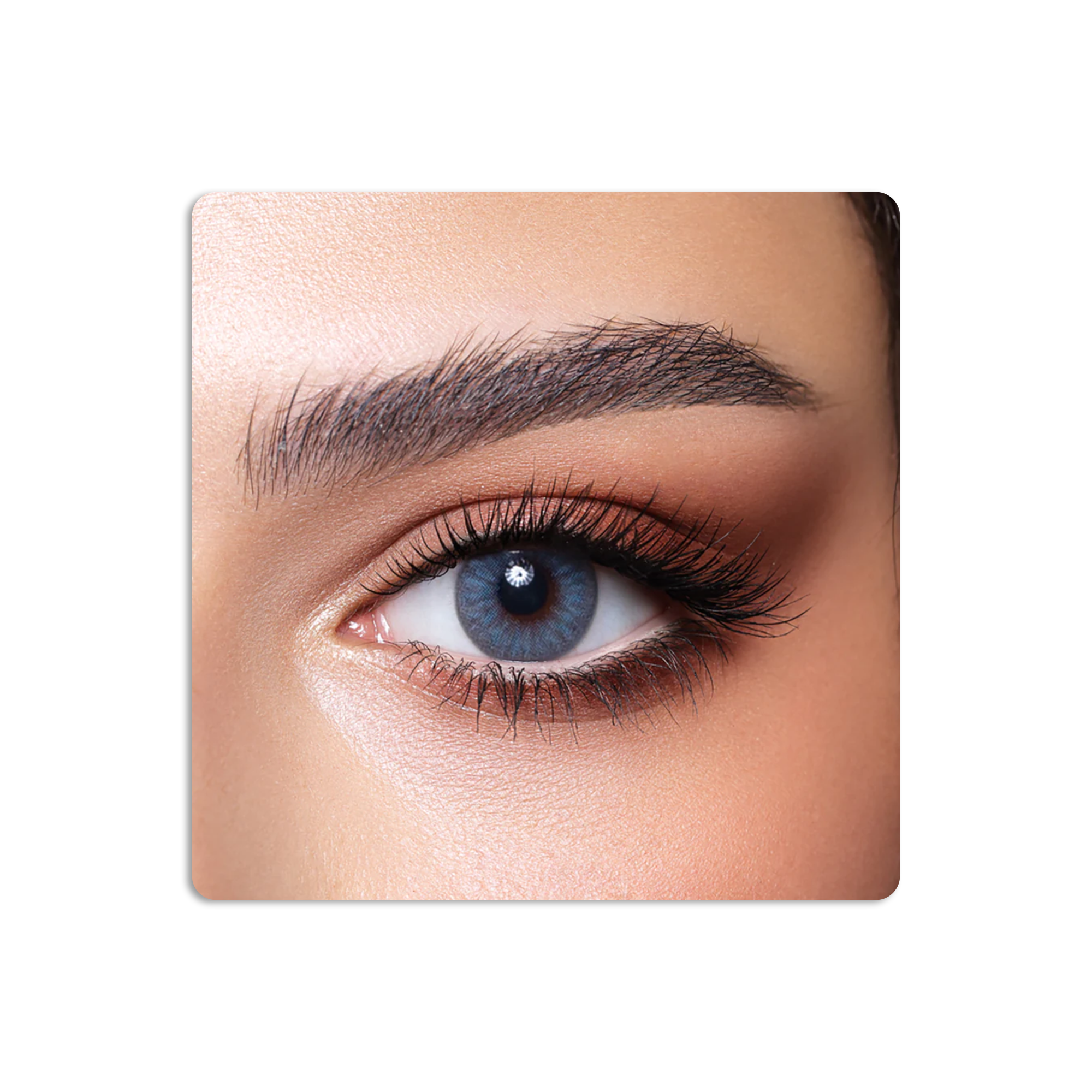 عدسات لاصقة كونتور ملونة