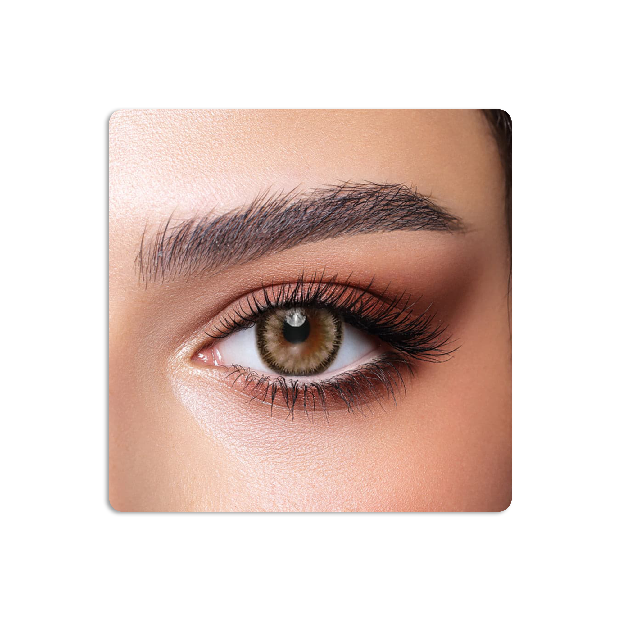 عدسات لاصقة كونتور ملونة