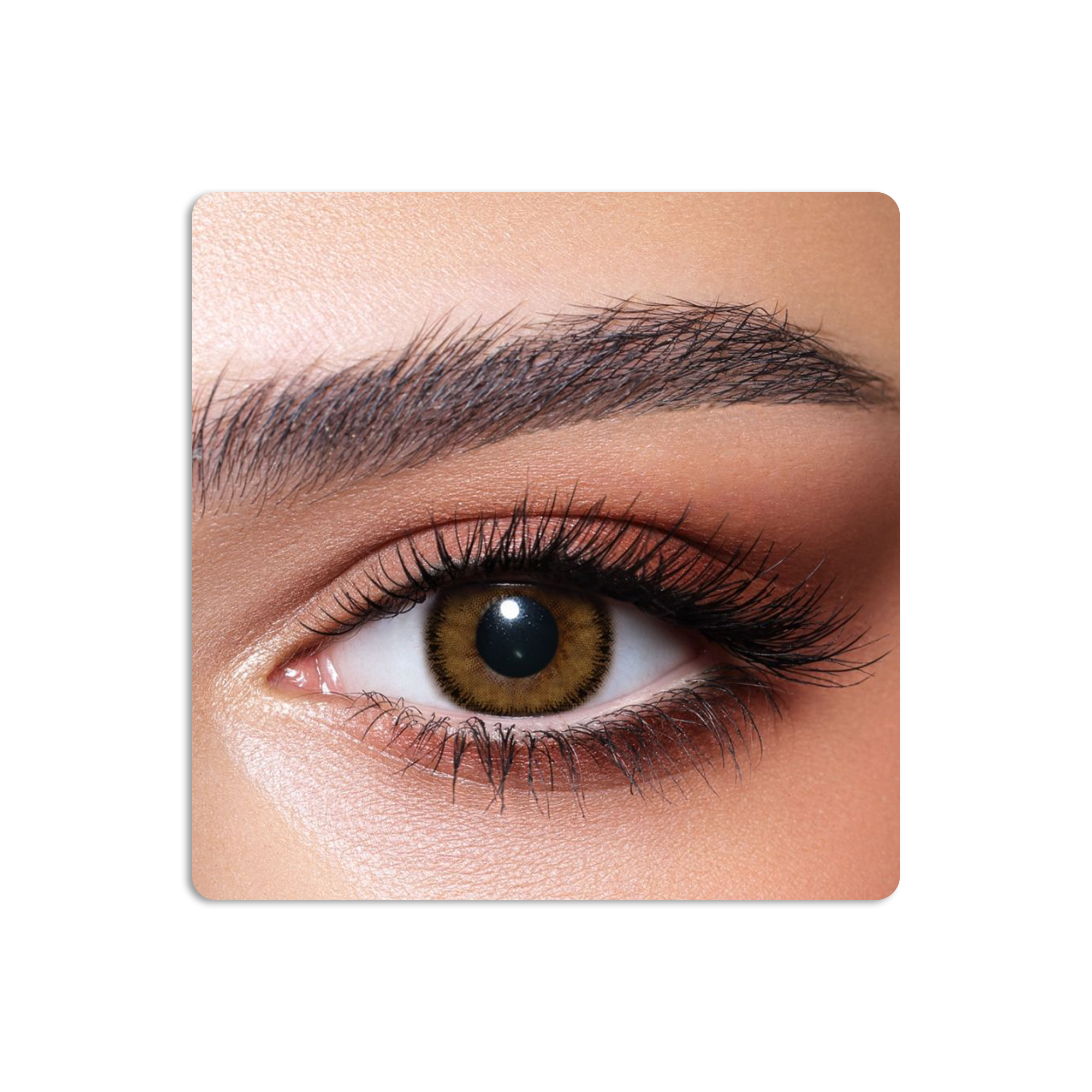 عدسات لاصقة كونتور ملونة