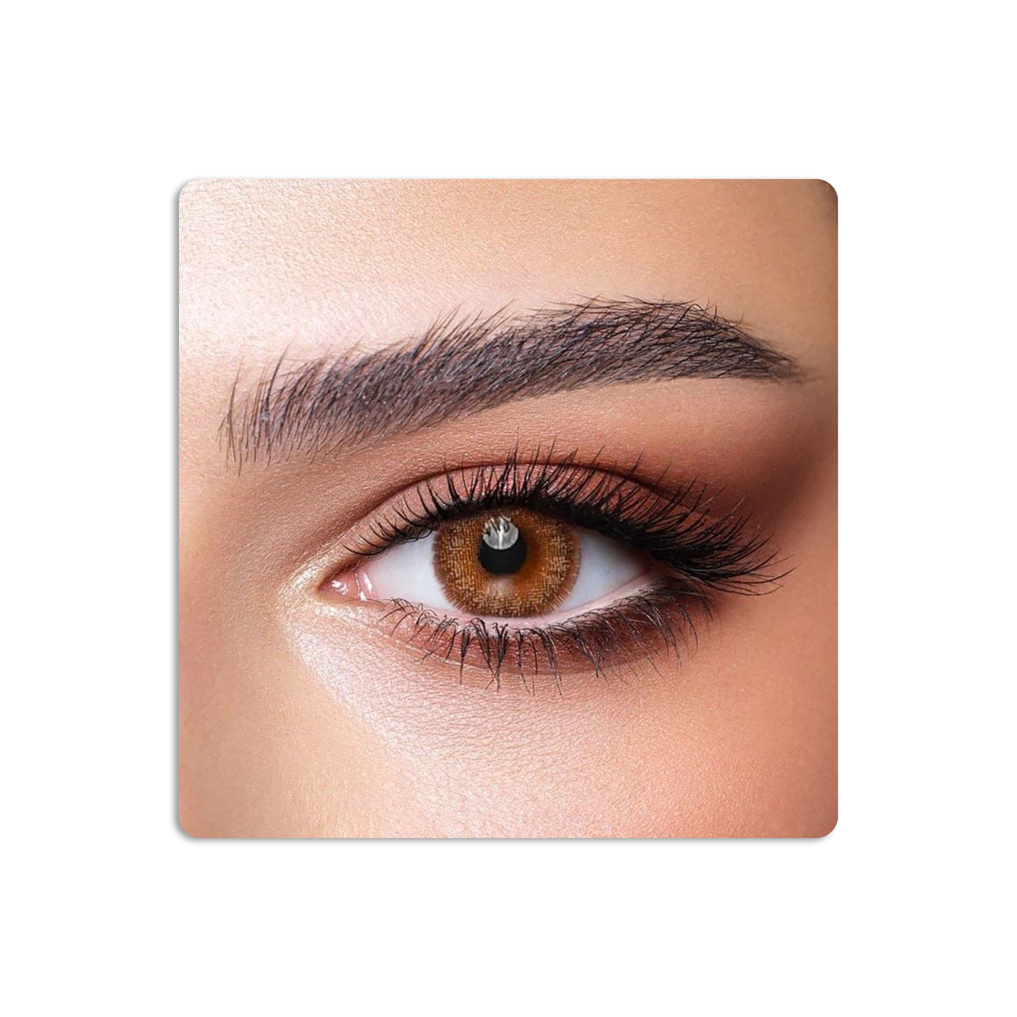 عدسات لاصقة كونتور ملونة