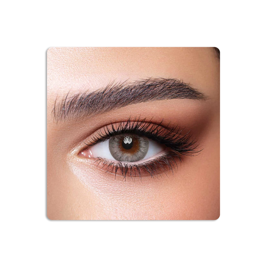 عدسات لاصقة كونتور ملونة