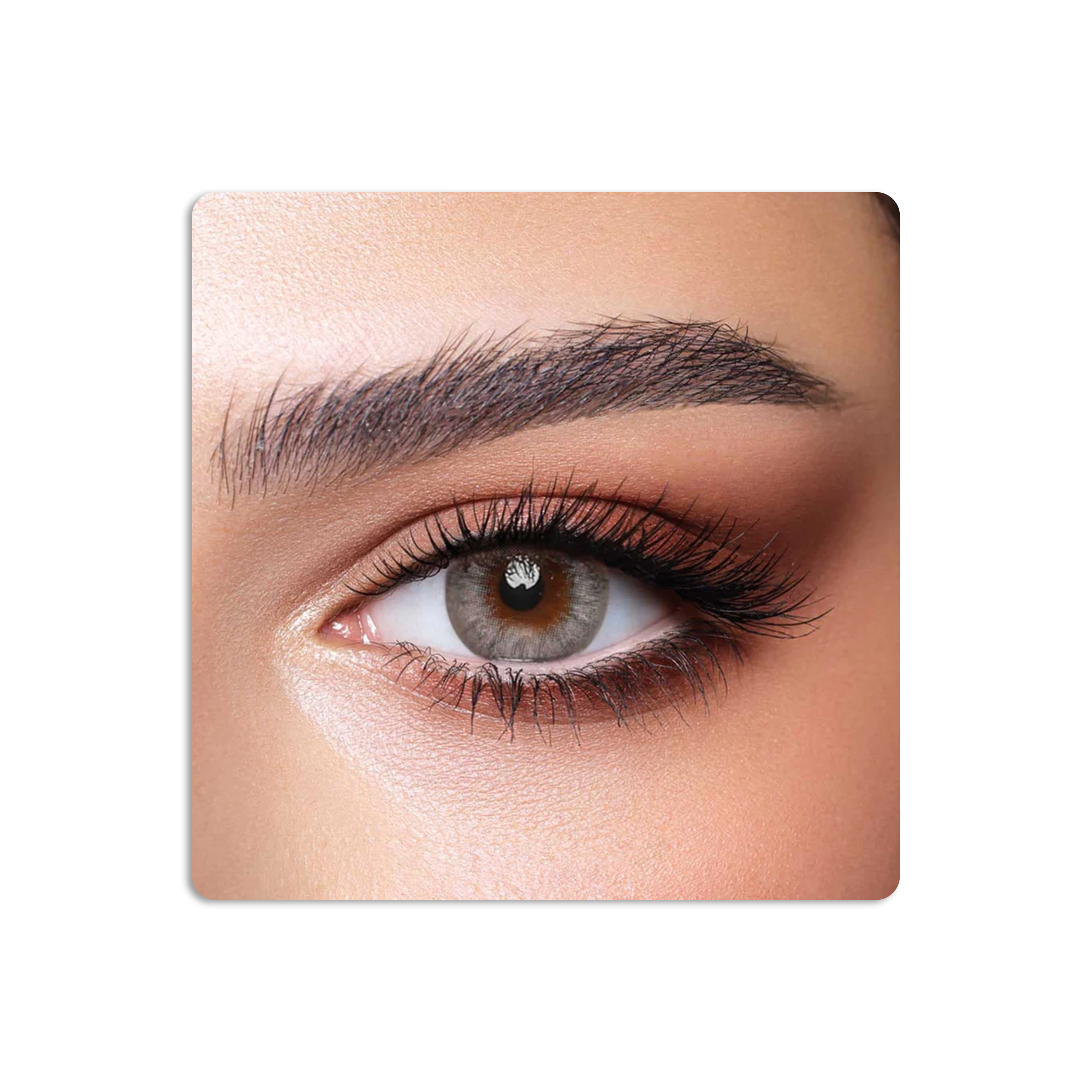 عدسات لاصقة كونتور ملونة