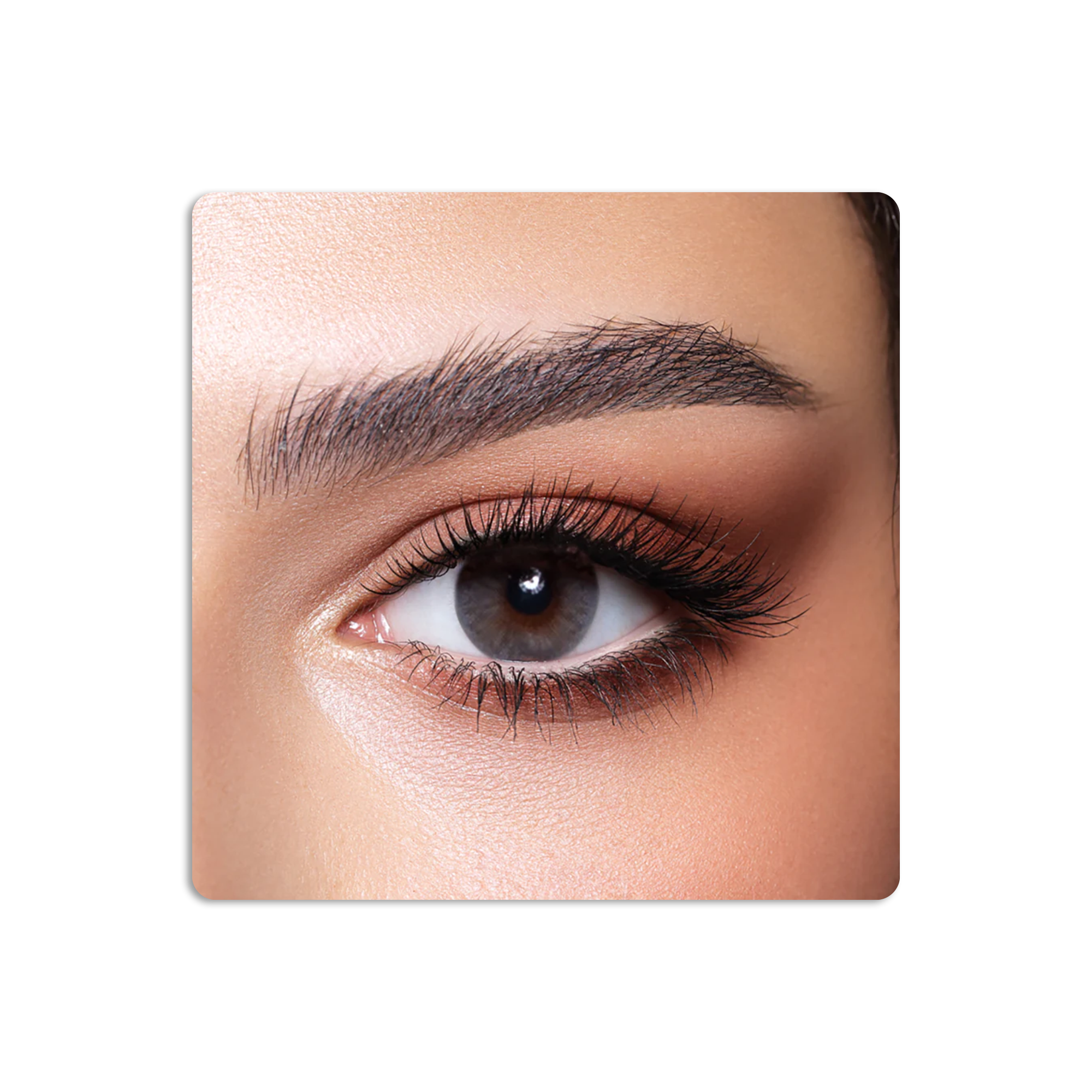 عدسات لاصقة كونتور ملونة