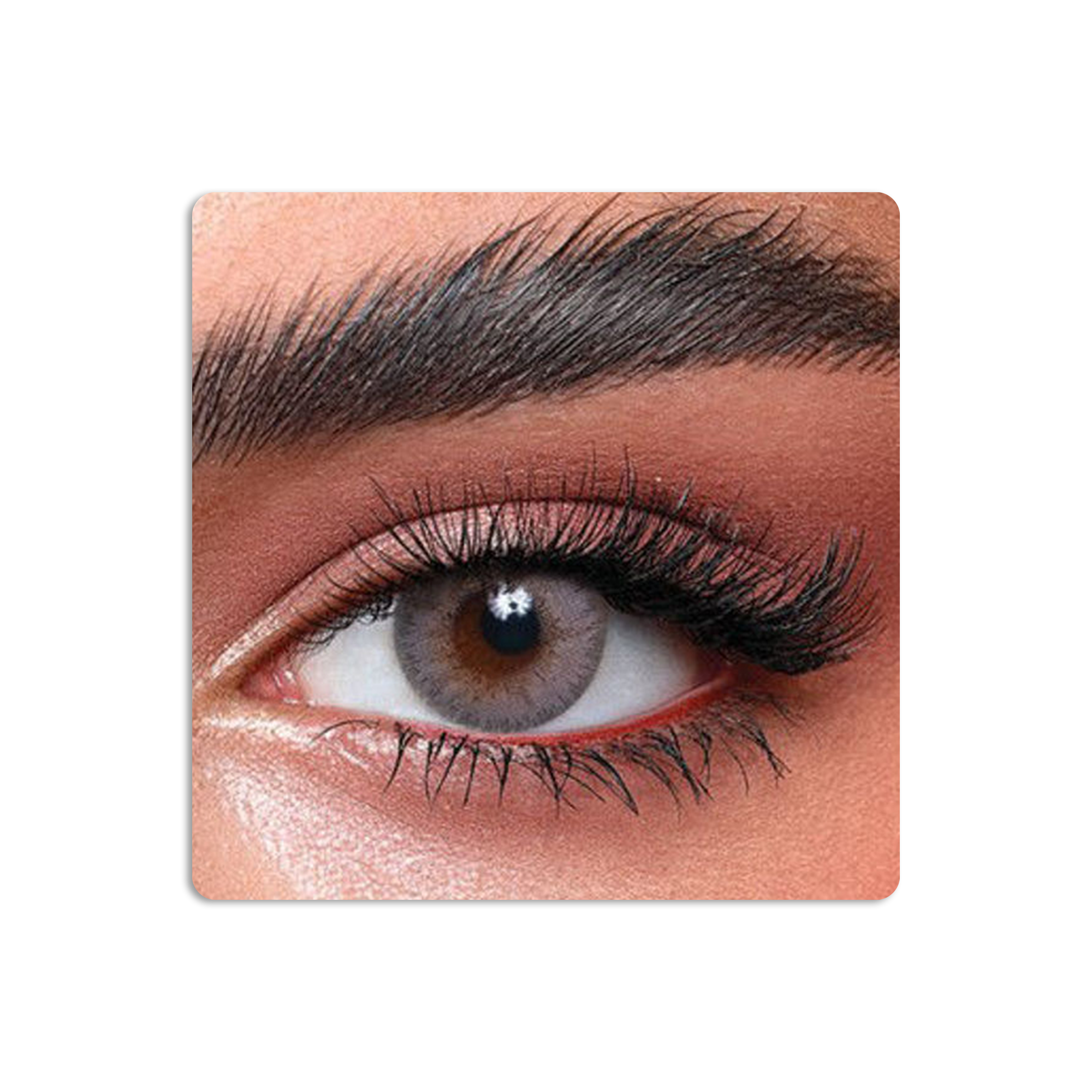 عدسات لاصقة ايليت ملونة