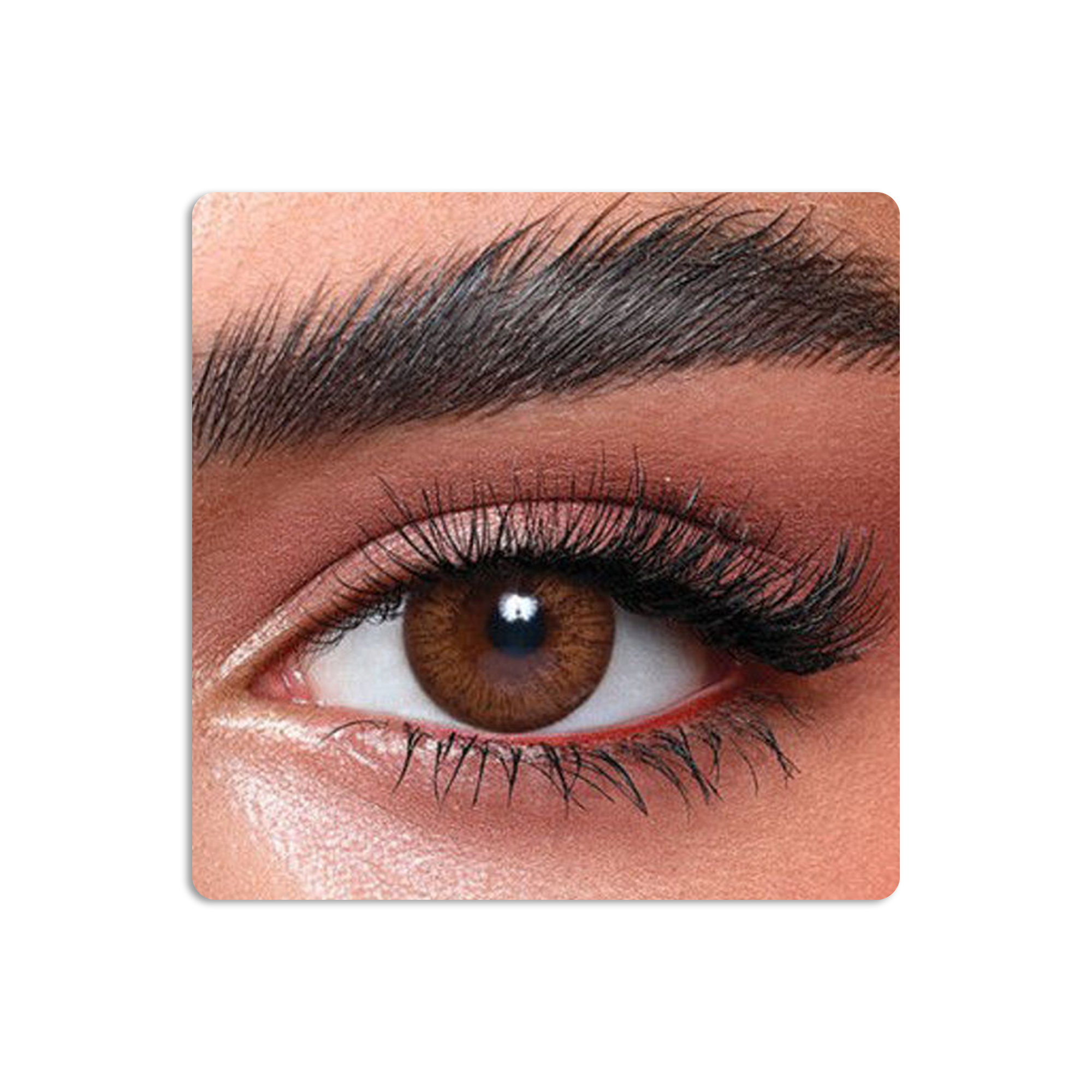 عدسات لاصقة ايليت ملونة