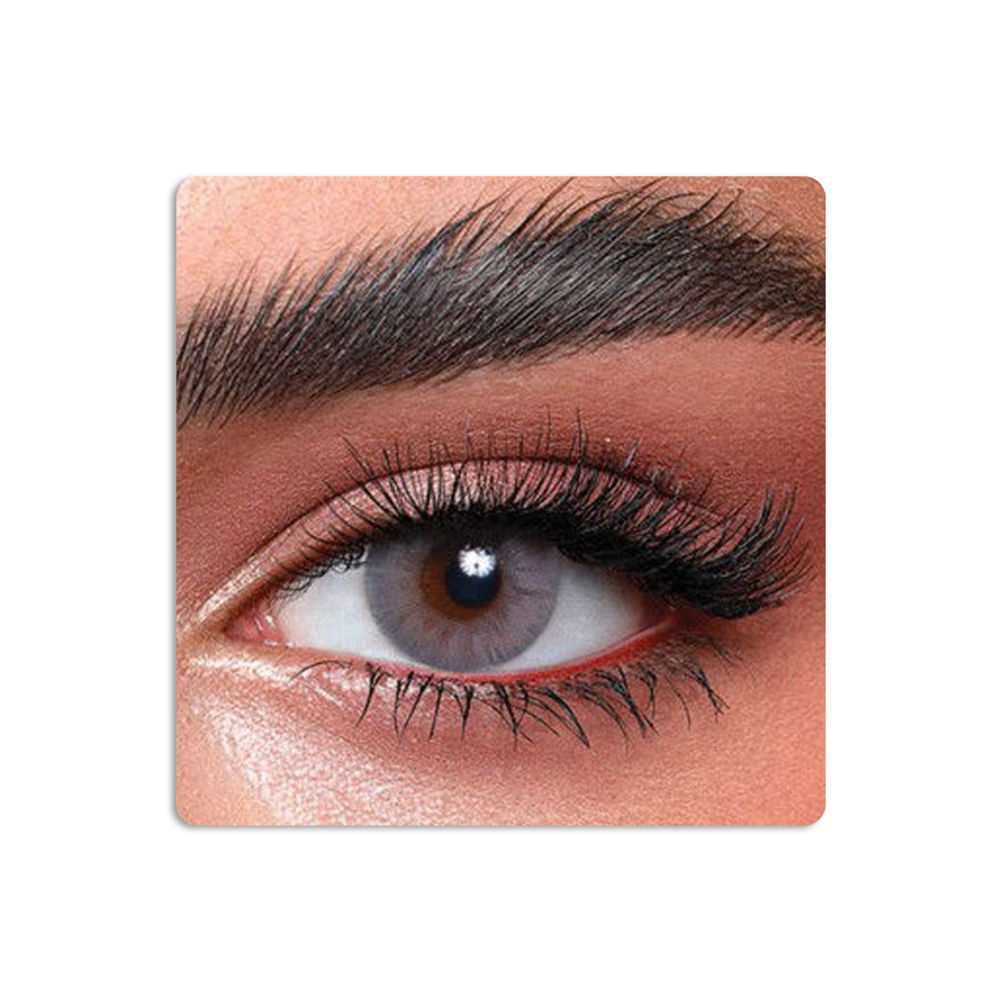 عدسات لاصقة ايليت ملونة