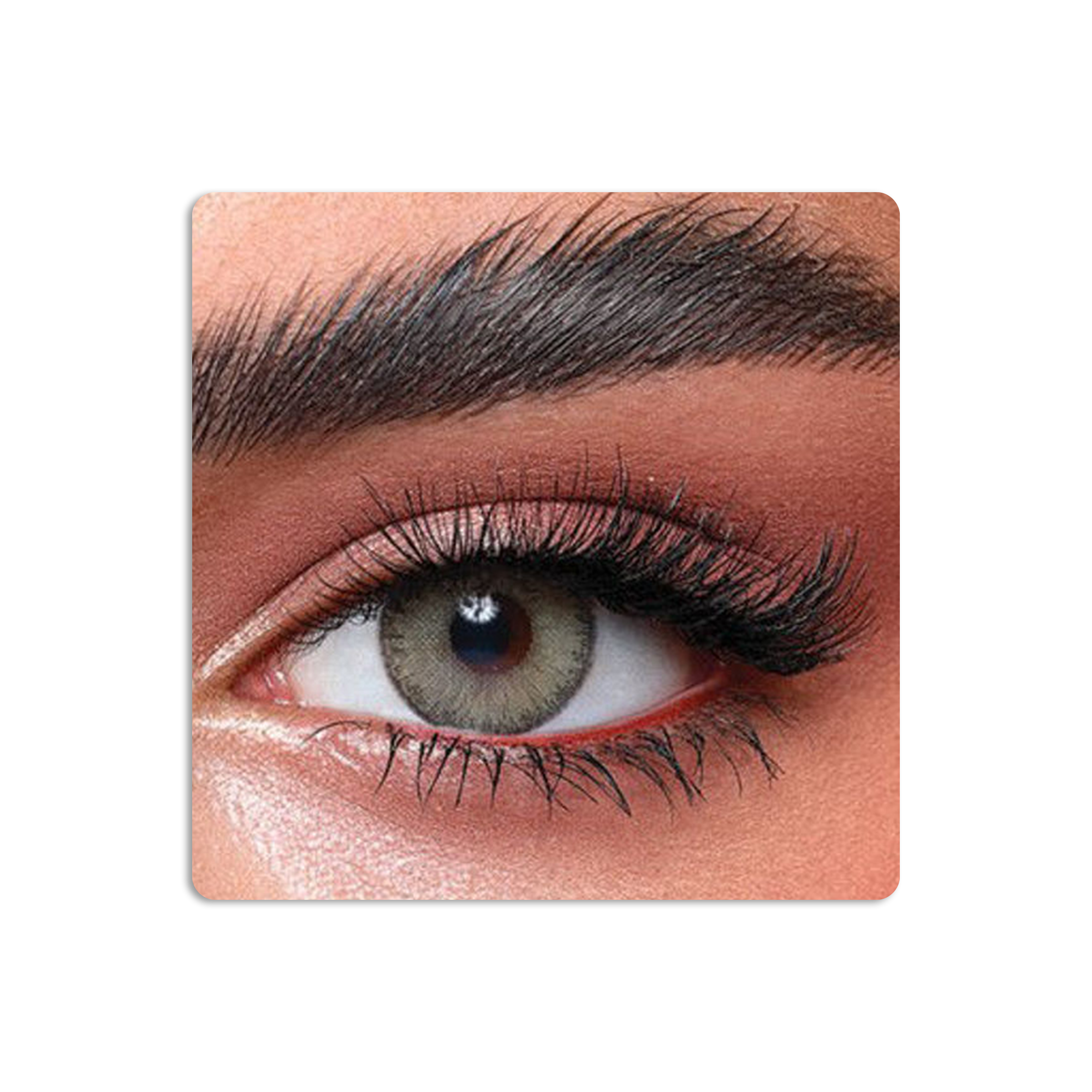 عدسات لاصقة ايليت ملونة