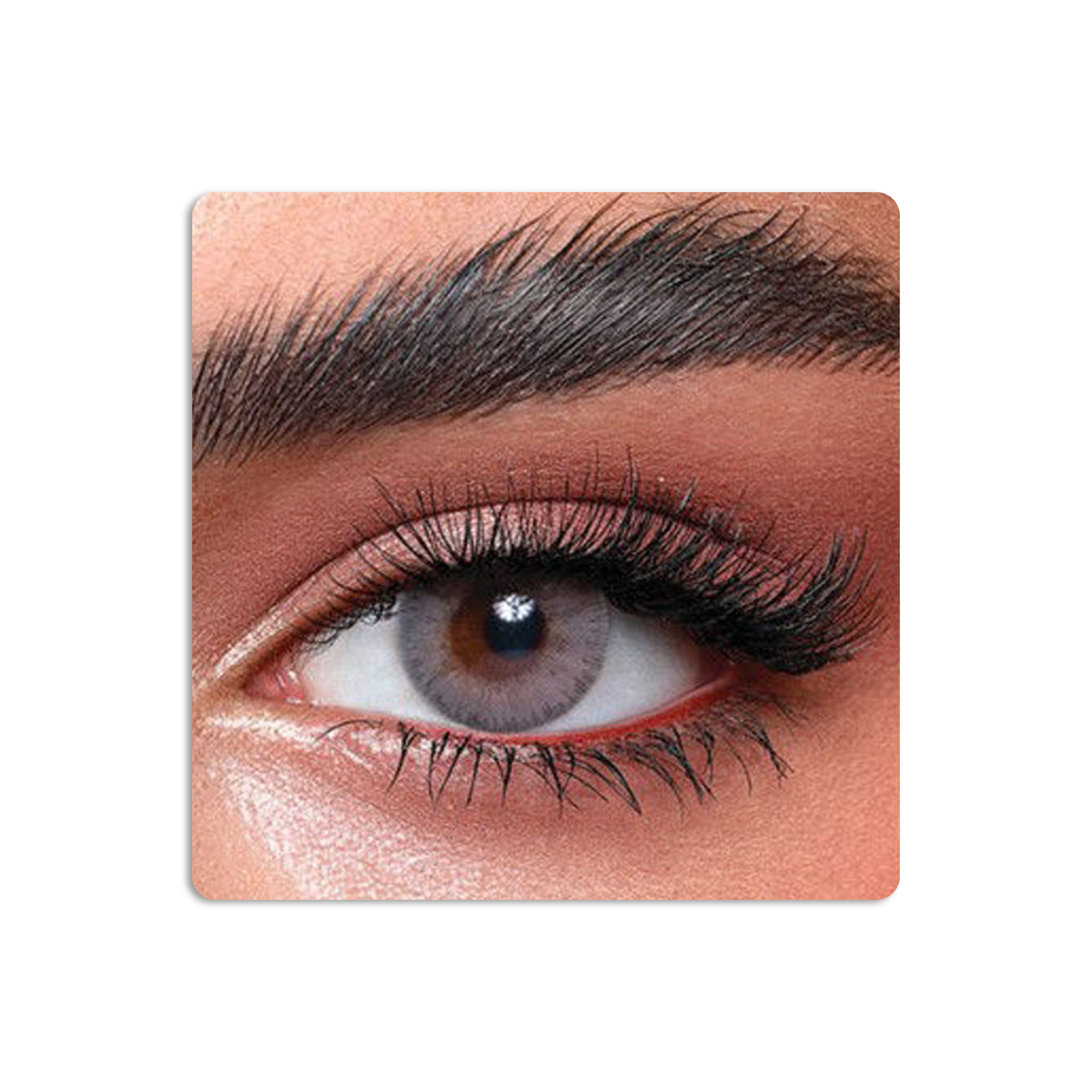 عدسات لاصقة ايليت ملونة