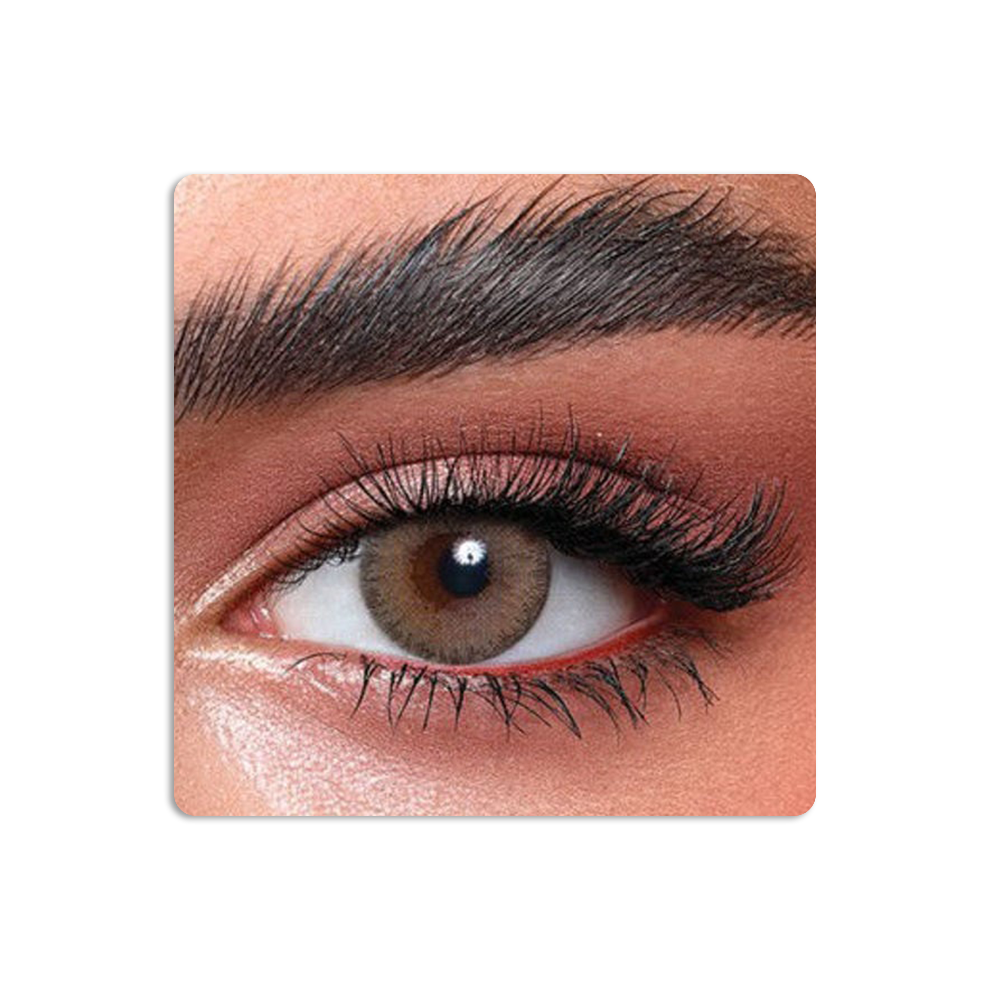 عدسات لاصقة ايليت ملونة