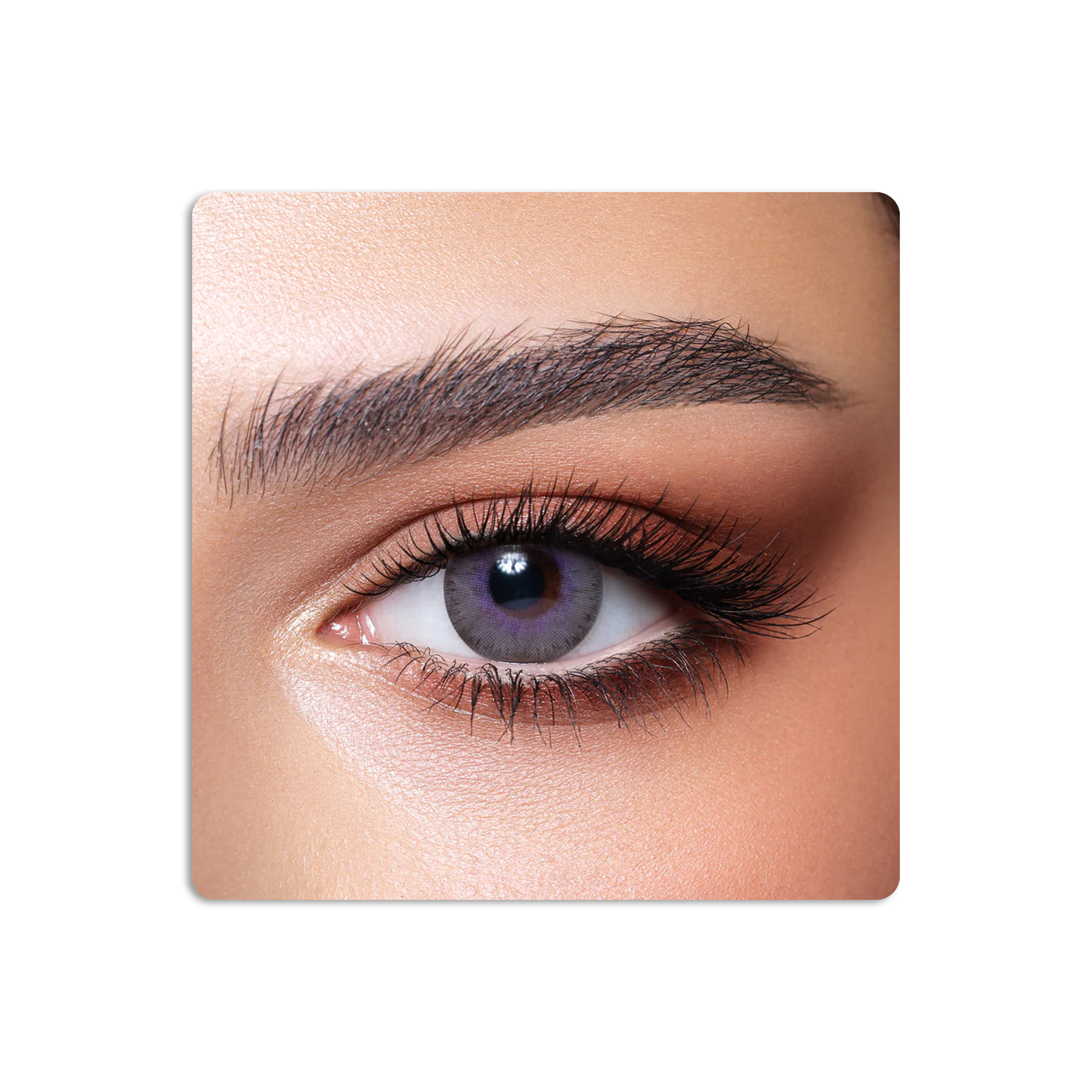 عدسات لاصقة ايليت ملونة