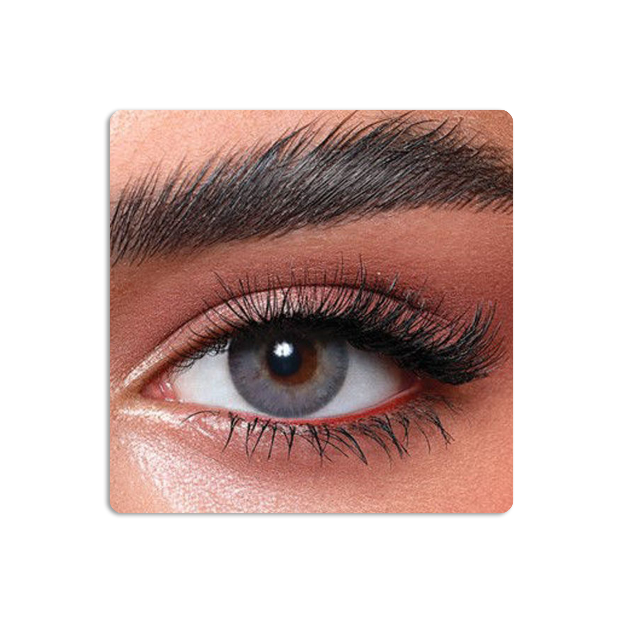 عدسات لاصقة ايليت ملونة