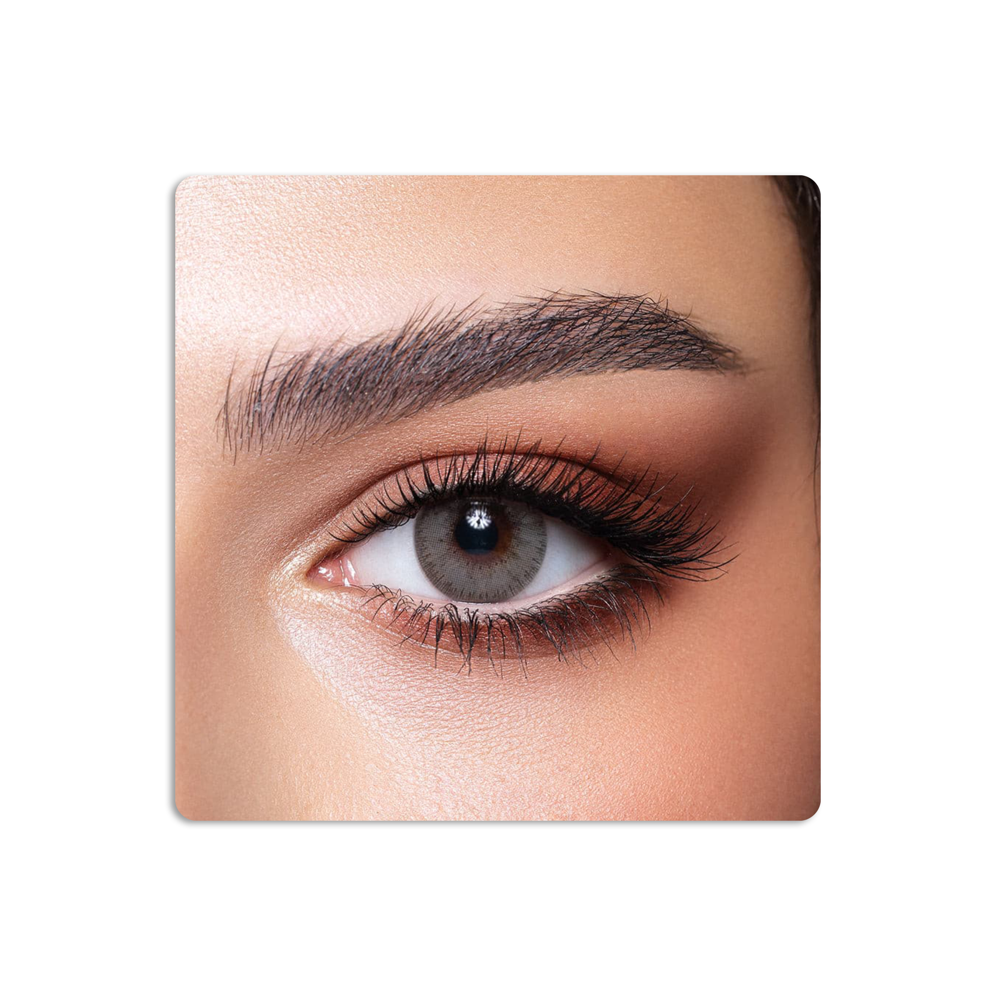 عدسات لاصقة ايليت ملونة