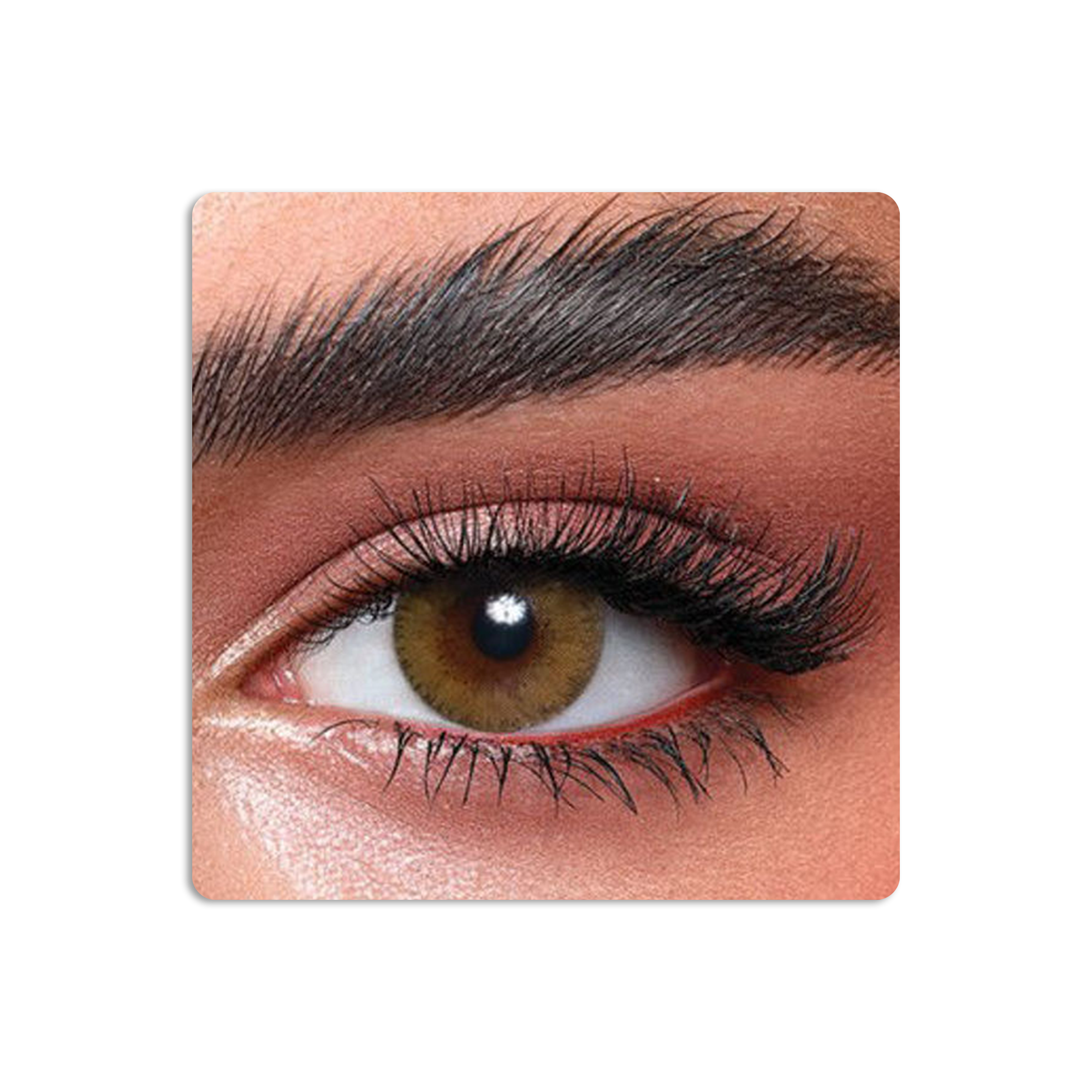 عدسات لاصقة ايليت ملونة