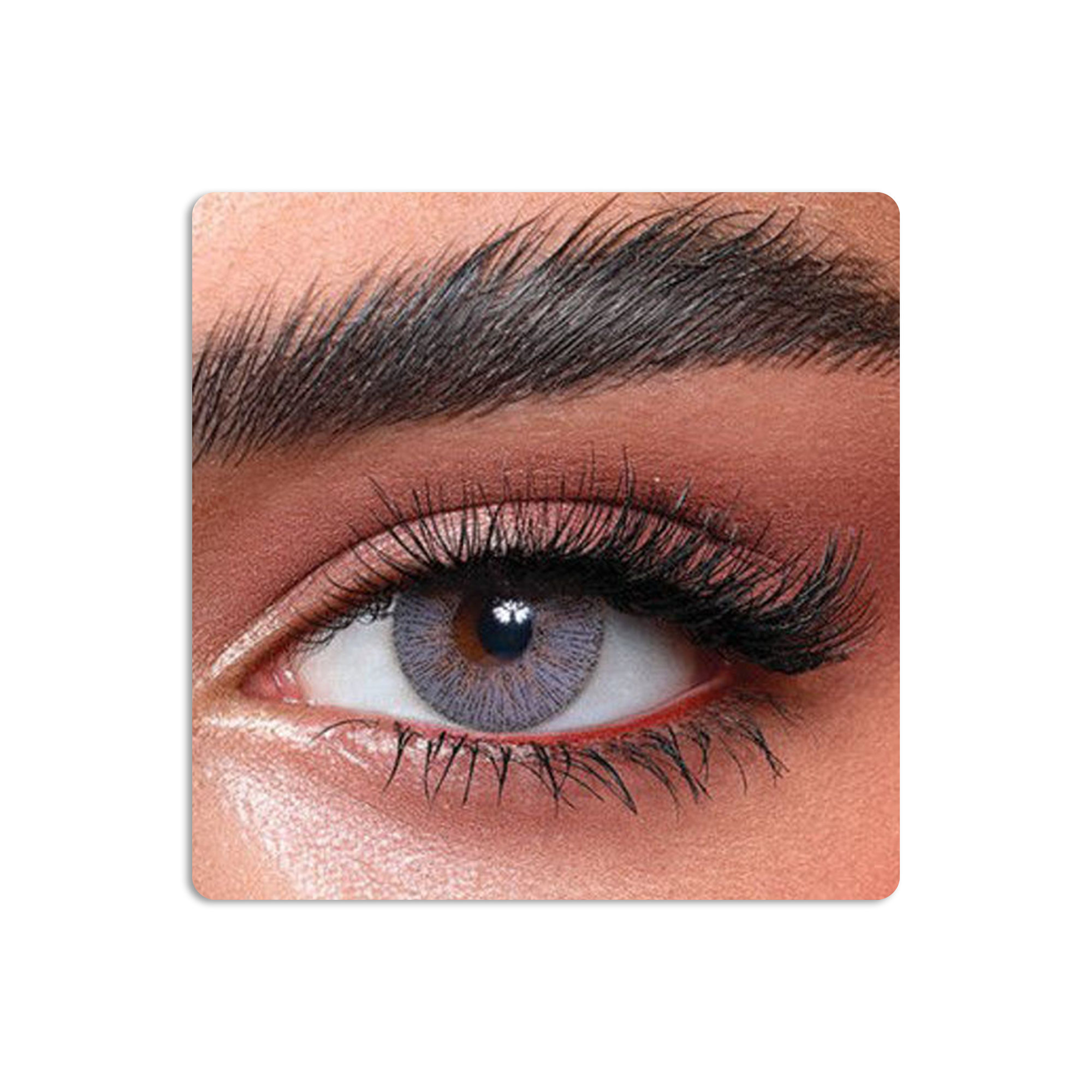 عدسات لاصقة ايليت ملونة