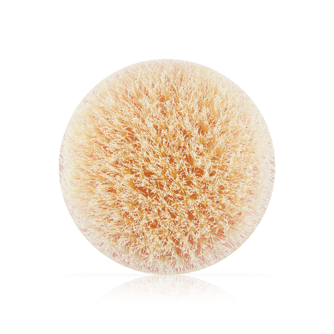 Dry Brush