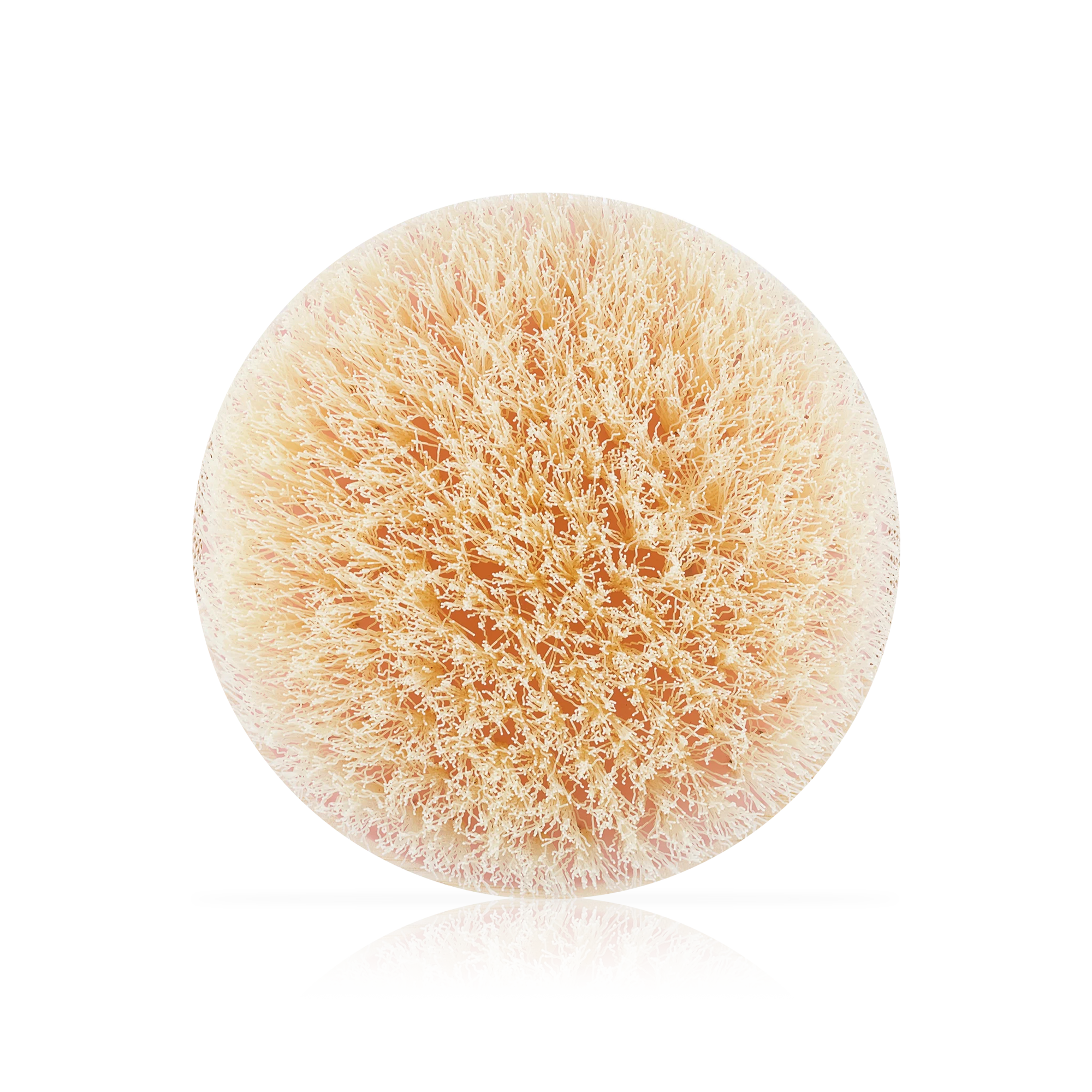 Dry Brush