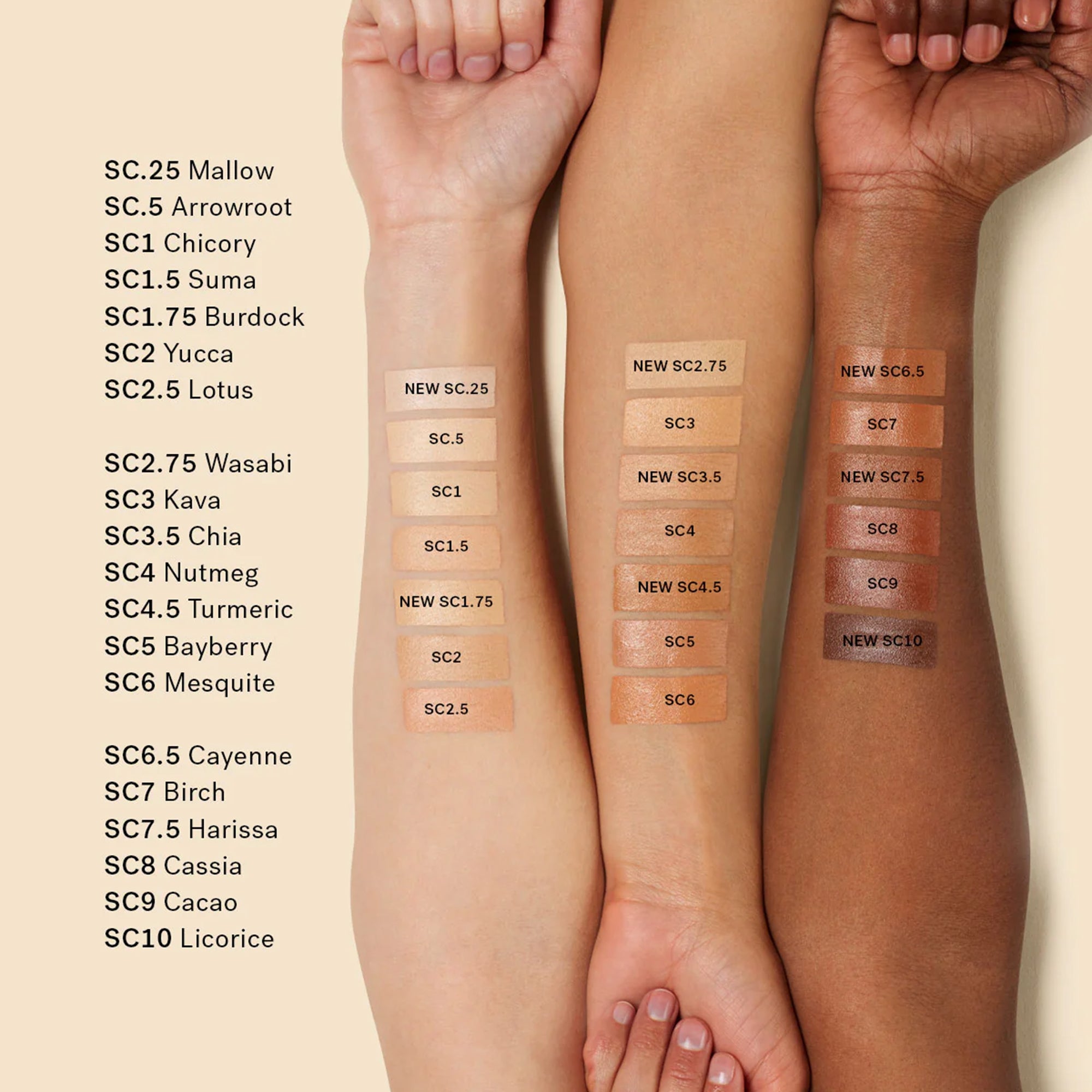 True Skin Serum Concealer