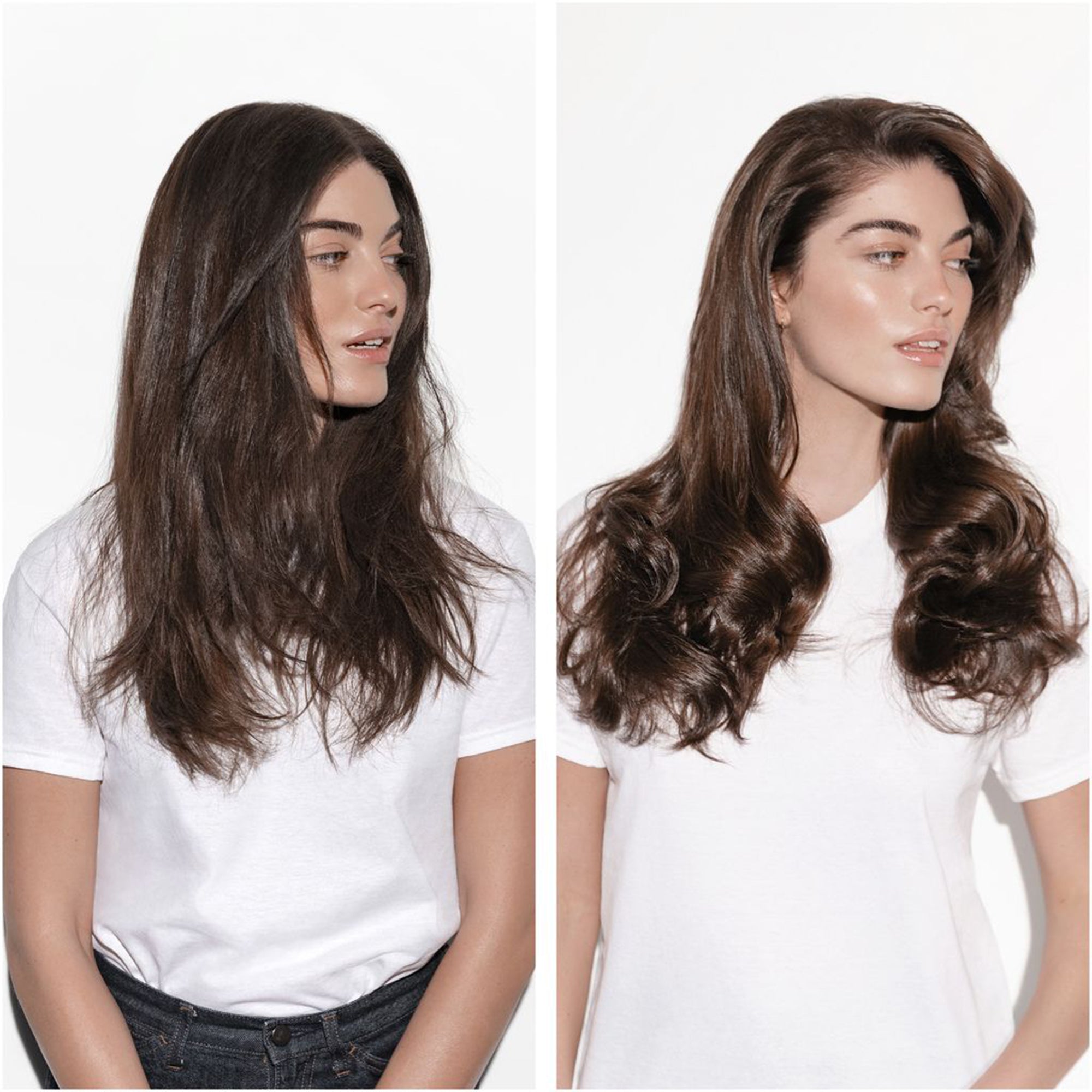 شامبو كرونولوجيست باين ريجينيرانت يوث لتجديد الشعر