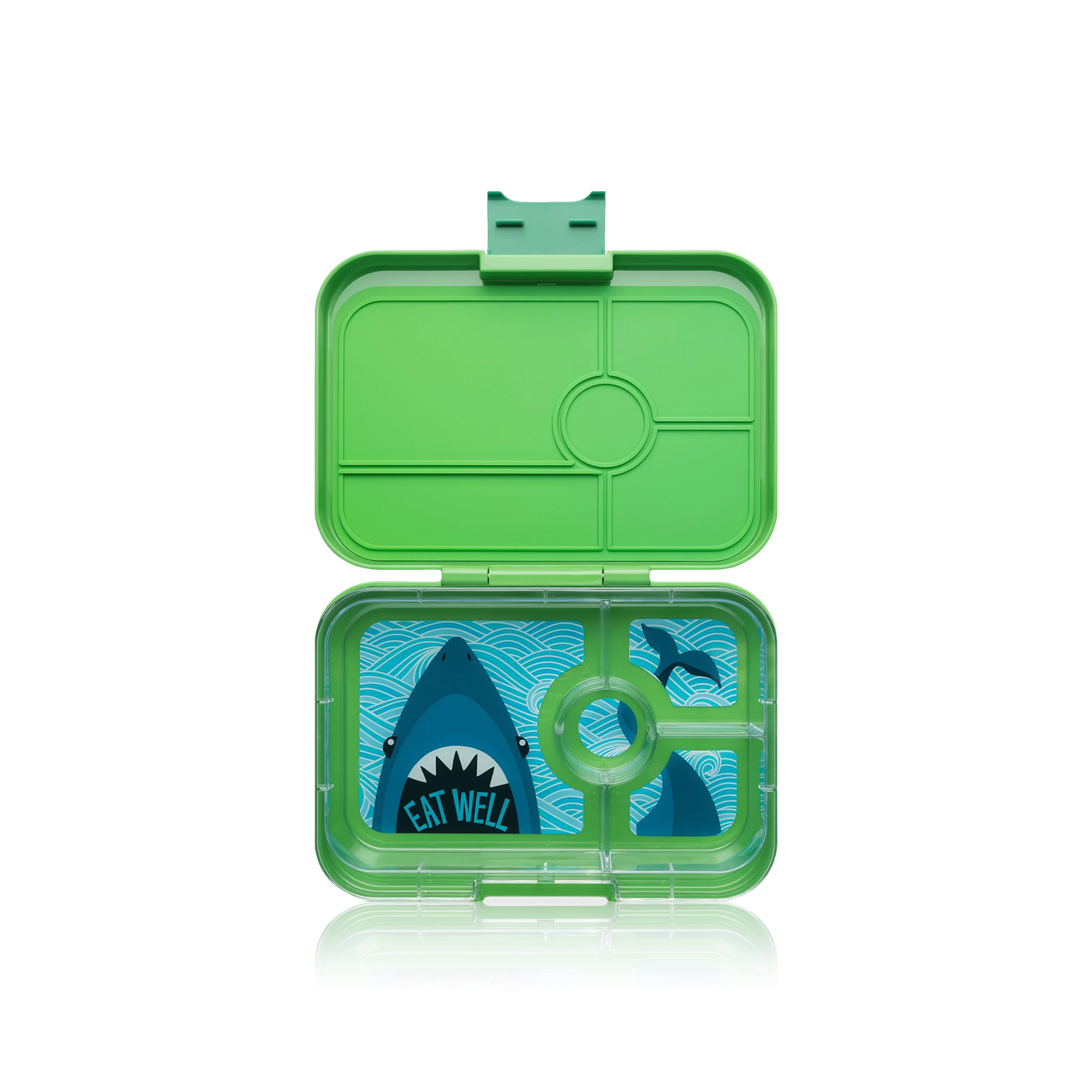 Jurrasic Green - Shark Tapas Lunchbox
