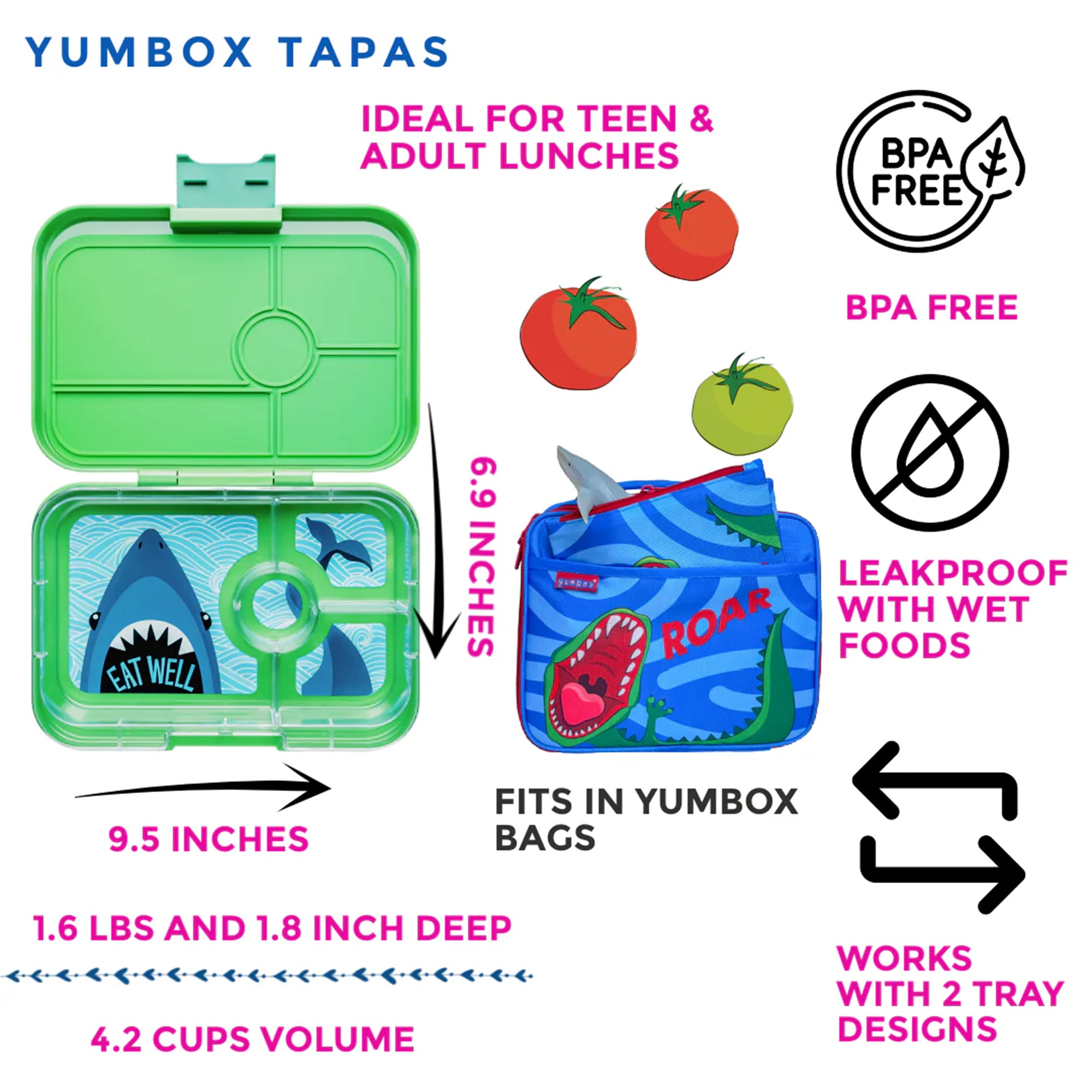 Jurrasic Green - Shark Tapas Lunchbox