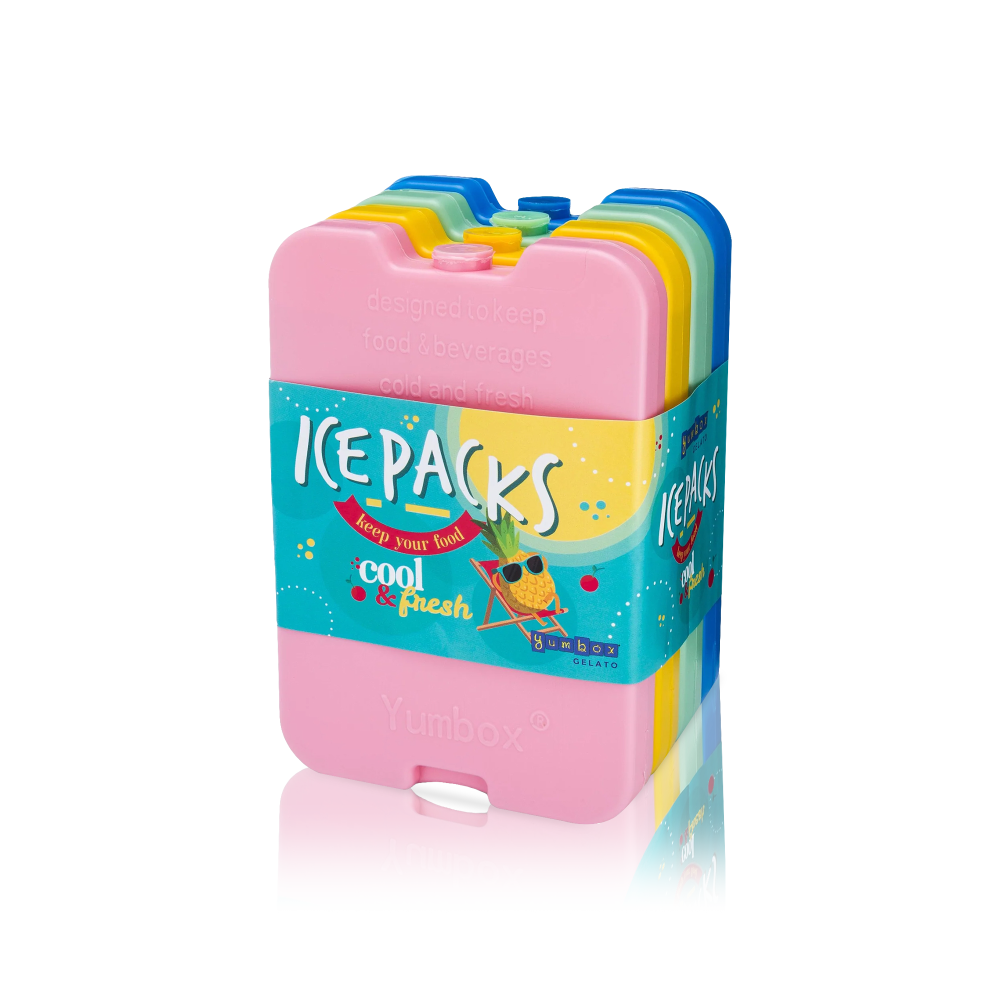 Slim Ice Packs - Set of 4