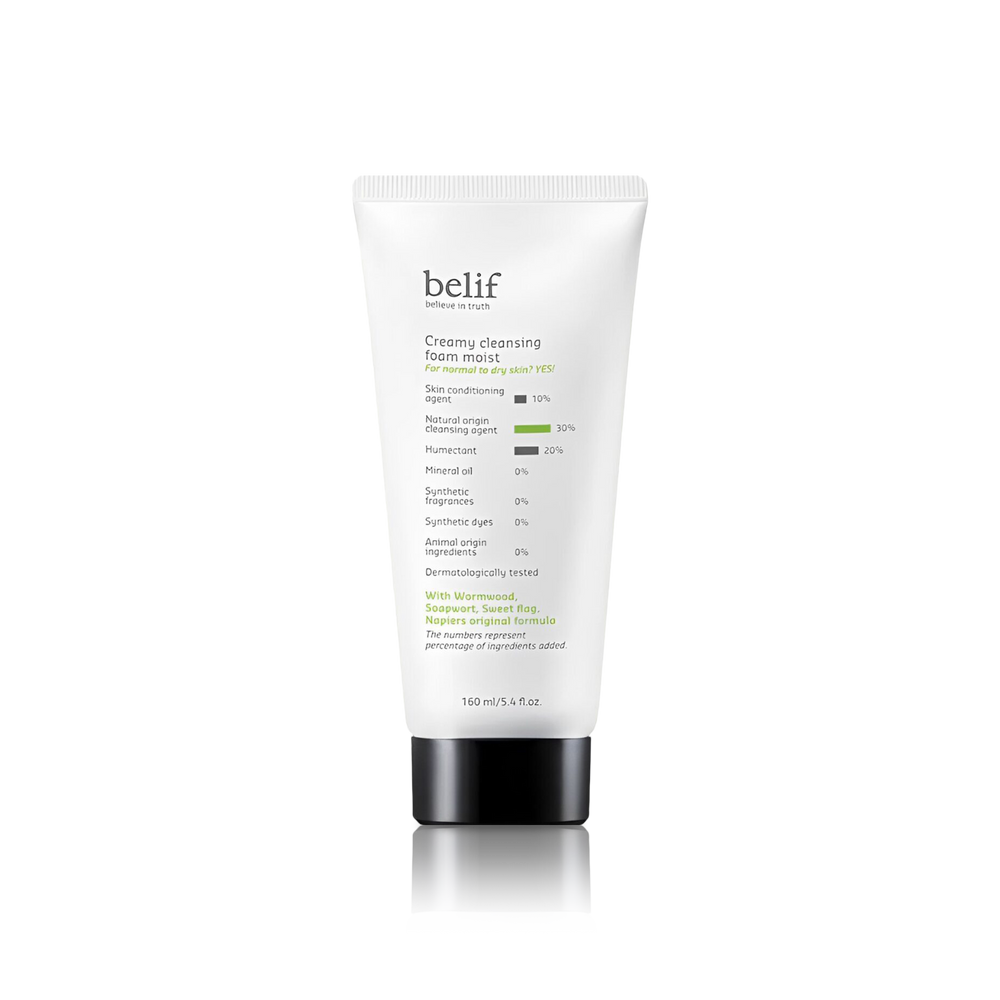 Creamy Cleansing Foam Moist