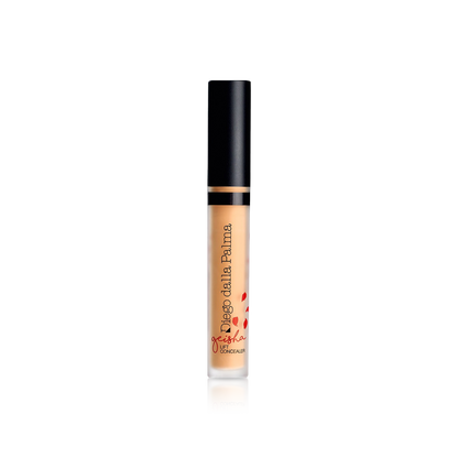 Geisha Lift Concealer