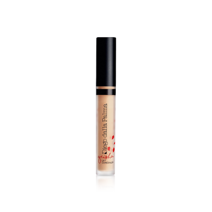 Geisha Lift Concealer