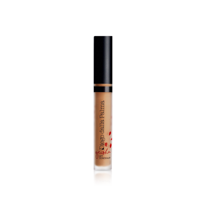 Geisha Lift Concealer