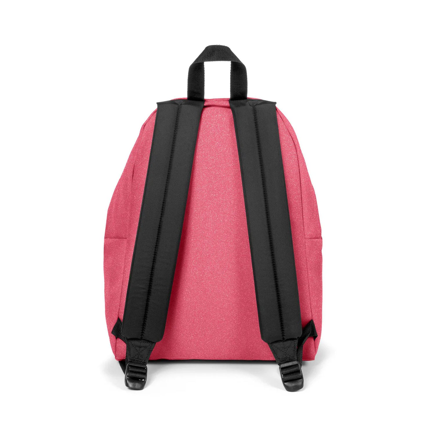 Padded Pak&