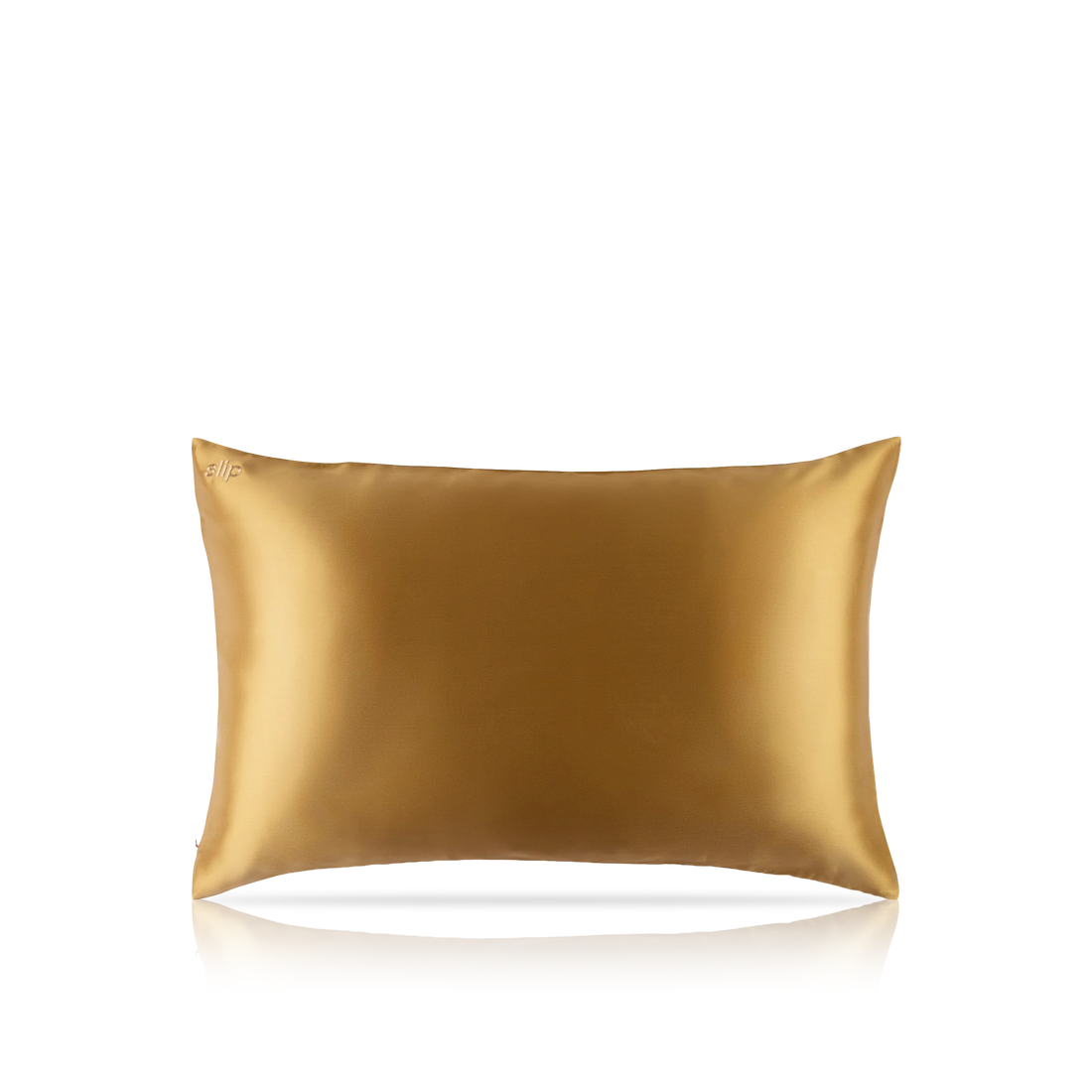 Pure Silk Queen Zippered Pillowcase