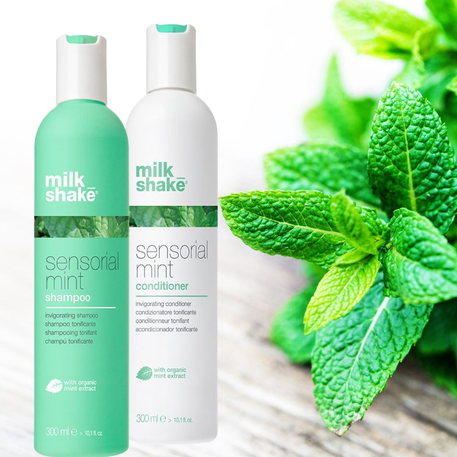 Sensorial Mint Conditioner