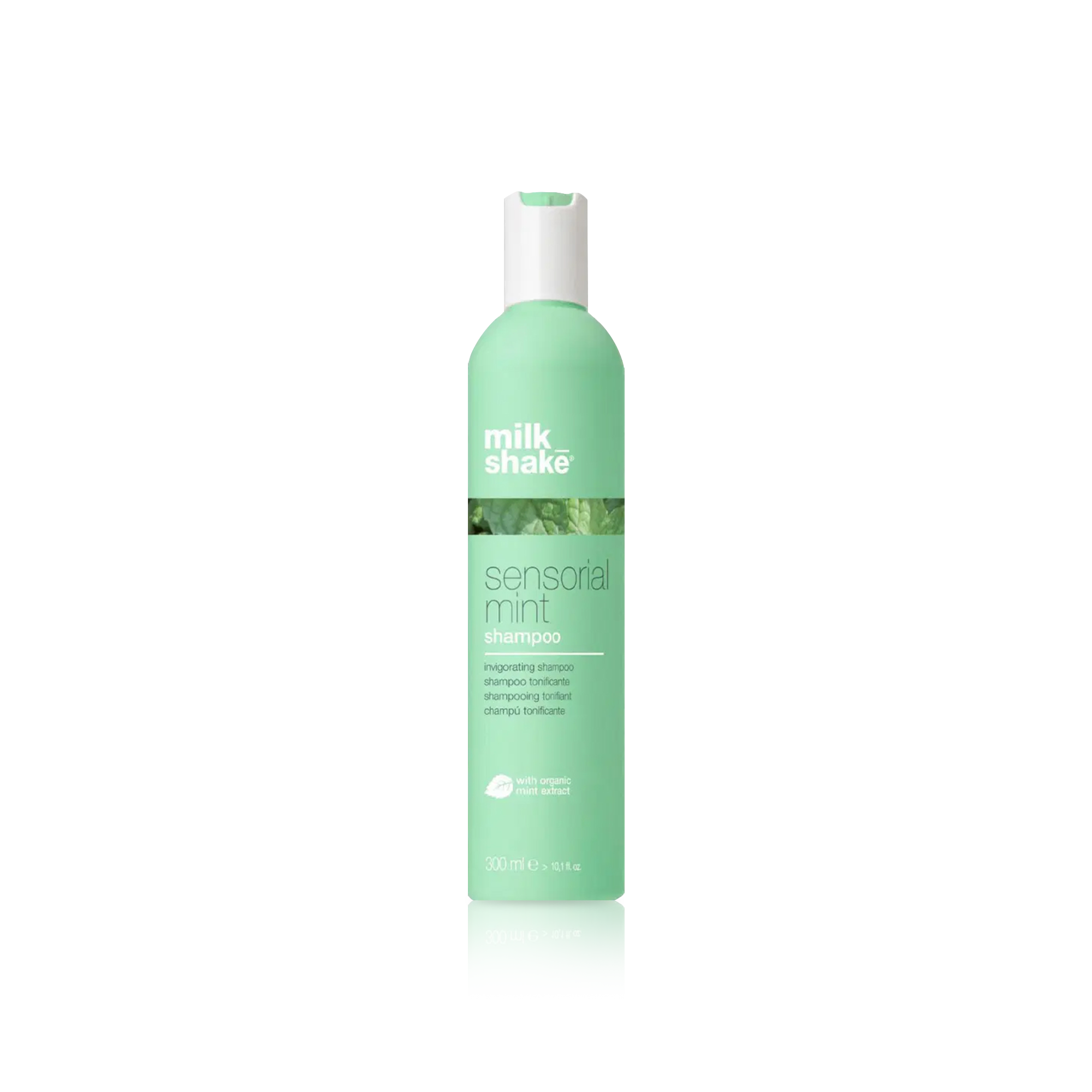 Sensorial Mint Shampoo